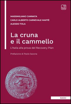 La cruna e il cammello (eBook, PDF) - Alberto Carnevale Maffè, Carlo; Cannata, Massimiliano; Tola, Alessio