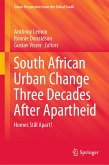 South African Urban Change Three Decades After Apartheid (eBook, PDF)