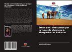 Étude sur l'infestation par la tique du chameau à Tharparker au Pakistan