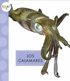 Los Calamares
