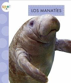 Cover Los Manatíes