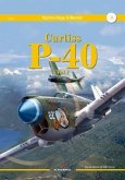 Curtiss P-40: Volume 1