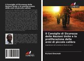Il Consiglio di Sicurezza delle Nazioni Unite e la proliferazione delle armi di piccolo calibro Il Consiglio di Sicurezza delle Nazioni Unite e la proliferazione delle armi di piccolo calibro