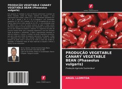 PRODUÇÃO VEGETABLE CANARY VEGETABLE BEAN (Phaseolus vulgaris) - Llomitoa, Angel