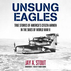 Unsung Eagles Lib/E: True Stories of America's Citizen Airmen in the Skies of World War II - Stout, Jay A.