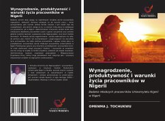 Cover Wynagrodzenie, produktywno¿¿ i warunki ¿ycia pracowników w Nigerii