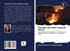 Cover Razmer sistemy podachi lit'q