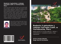 Badania 4 gatunków z rodzaju Cecropia Loefl. w Yarinacocha, Peru - Araujo Abanto, Víctor; García Escalante, Hugo