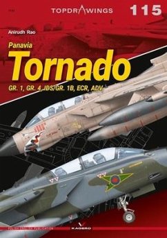 Panavia Tornado - Rao, Anirudh