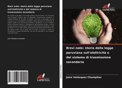 Brevi note: storia della legge peruviana sull'elettricità e del sistema di trasmissione secondaria - Velásquez Chumpitaz, Jairo