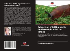 Extraction d'ADN à partir du tissu épithélial de limace - Angulo Graterol, Luis