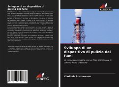 Sviluppo di un dispositivo di pulizia dei fumi - Bushmanov, Vladimir