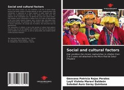 Social and cultural factors - Rojas Perales, Geovana Patricia;Maravi Baldeón, Layli Violeta;Garay Quintana, Soledad Aura