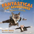 Fantastical Cat Adventures