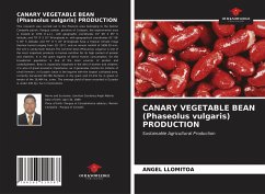 CANARY VEGETABLE BEAN (Phaseolus vulgaris) PRODUCTION - Llomitoa, Angel