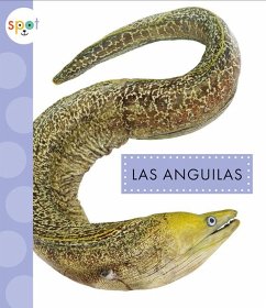 Cover Las Anguilas