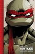 Teenage Mutant Ninja Turtles: The IDW... - Bild 1
