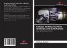 Fatigue testing machine redesign and... - Bild 1