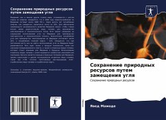 Cover Sohranenie prirodnyh resursow putem zamescheniq uglq