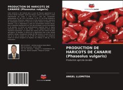 PRODUCTION DE HARICOTS DE CANARIE (Phaseolus vulgaris) - Llomitoa, Angel