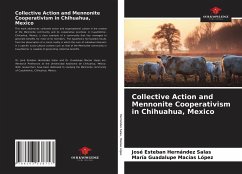 Collective Action and Mennonite Cooperativism in Chihuahua, Mexico - Hernández Salas, José Esteban; Macías López, María Guadalupe
