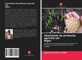 otimização da produção agrícola em Níger