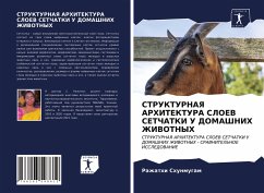 STRUKTURNAYa ARHITEKTURA SLOEV SETChATKI U DOMAShNIH ZhIVOTNYH Cover STRUKTURNAYa ARHITEKTURA SLOEV SETChATKI U DOMAShNIH ZhIVOTNYH