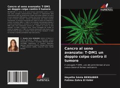 Cancro al seno avanzato: T-DM1 un doppio colpo contro il tumore - Bensaber, Hayette Sénia; El Kebir, Fatima Zohra