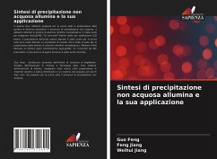 Sintesi di precipitazione non acquosa allumina e la sua applicazione - Feng, Guo; Jiang, Feng; Jiang, Weihui