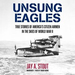 Unsung Eagles: True Stories of America's Citizen Airmen in the Skies of World War II - Stout, Jay A.