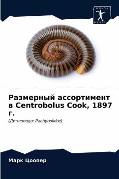 Размерный ассортимент в Centrobolus Cook, 1897 г. - &