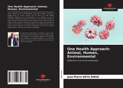 One Health Approach: Animal, Human, Environmental - Beya Dibue, Jean-Pierre