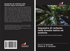 Sequestro di carbonio nelle foreste native ed esotiche - Quissindo, Isau A. B.;Cachenhe, Freitas M. V.