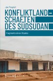 Konfliktlandschaften des Südsudan (eBook, PDF)