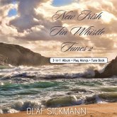 New Irish Tin Whistle Tunes 2