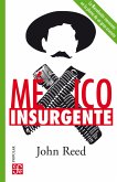México insurgente (eBook, ePUB)