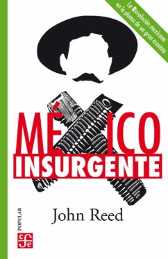 Cover México insurgente (eBook, ePUB)