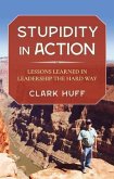 Stupidity in Action (eBook, ePUB)