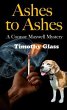 Ashes to Ashes (eBook, ePUB) - Bild 1