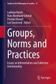 Groups, Norms and Practices (eBook, PDF)
