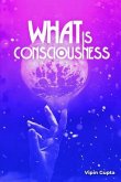 What Is Consciousness (eBook, ePUB)