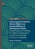 Advancing International Human Rights Law Responsibilities of Development NGOs (eBook, PDF)