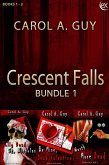 Crescent Falls Bundle (eBook, ePUB)