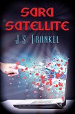 Sara Satellite (eBook, ePUB)