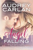 Angel Falling (eBook, ePUB)