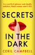 Secrets in the Dark - Bild 1