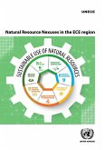 Natural Resource Nexuses in the ECE Region (eBook, PDF)
