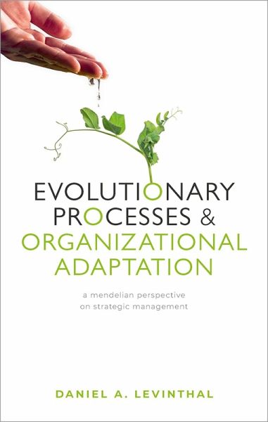 Evolutionary Processes and Organizational Adaptation (eBook, ePUB) Evolutionary Processes and Organizational Adaptation (eBook, ePUB)