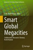 Smart Global Megacities (eBook, PDF)