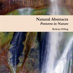 Natural Abstracts : Patterns in Nature (eBook, ePUB)